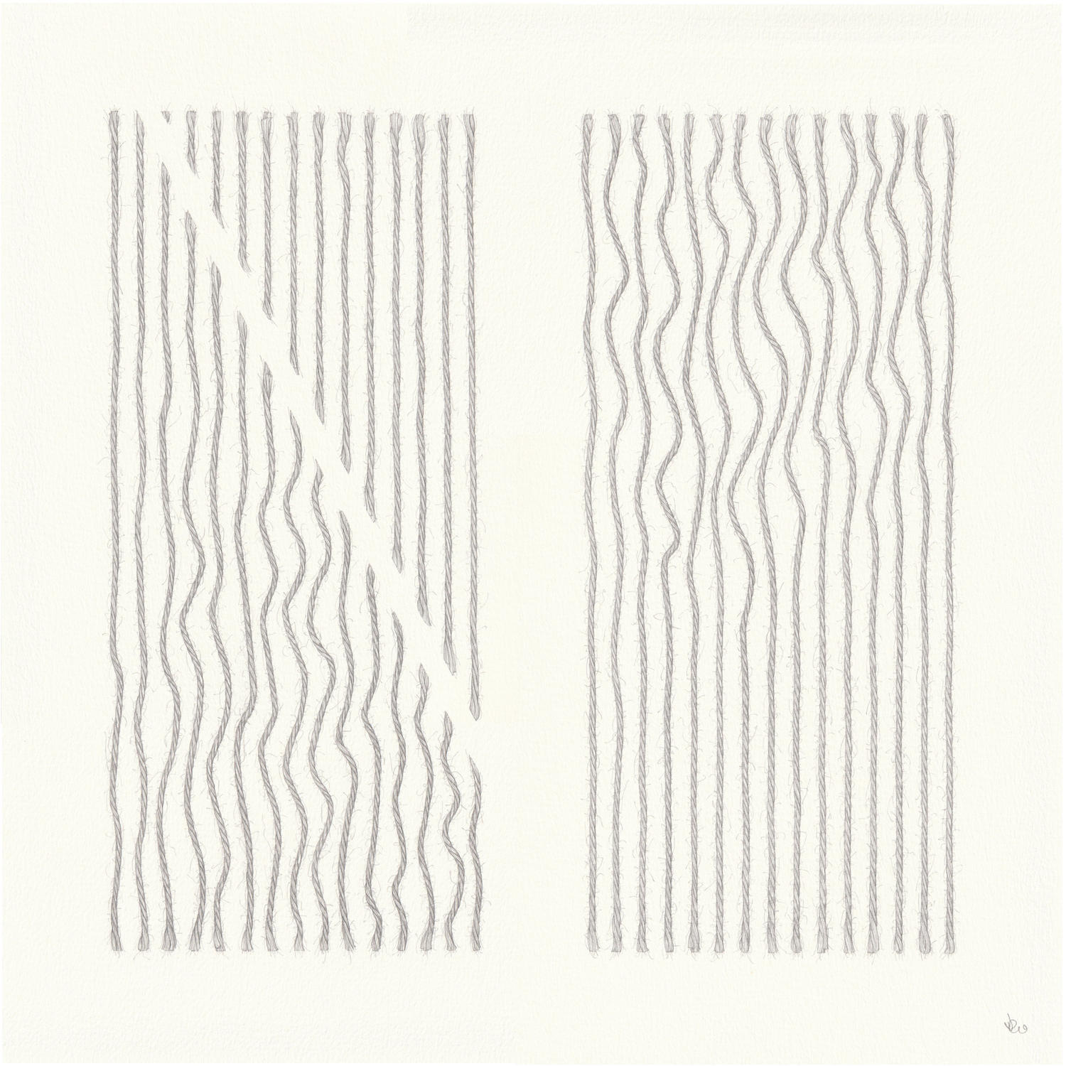 Duo 2 (38 x 38 cm) pencil on paper